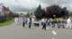 p1230159_small.jpg
